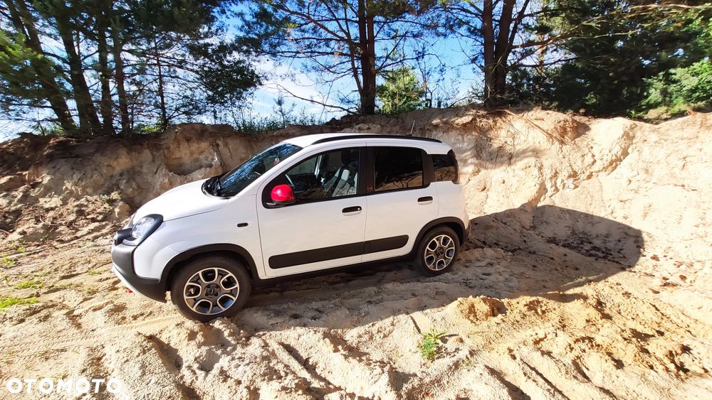 Fiat Panda 1.0 Hybrid (RED) - 19