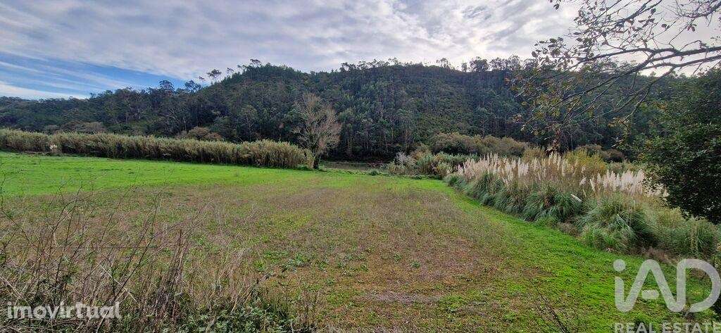 Terreno Agrícola em Carvoeira - Grande imagem: 4/23