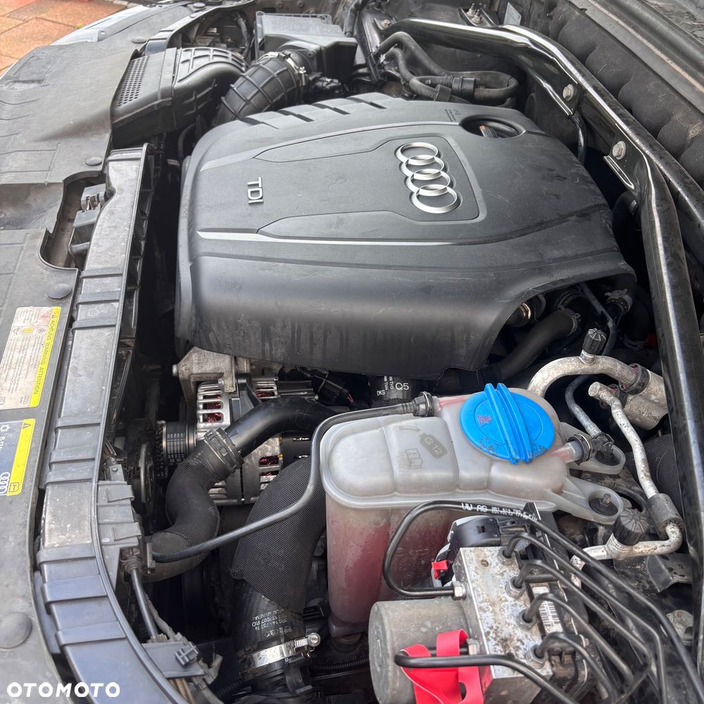 Audi Q5 - 22