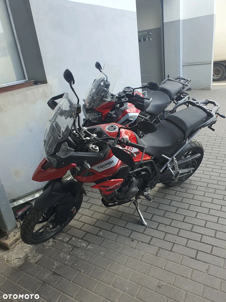 Triumph Tiger - 4