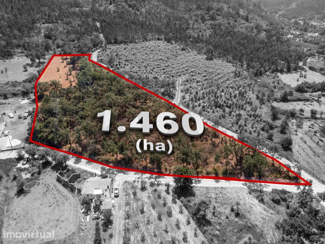 Terreno em Chão de Couce - Mó com enorme potencial de investimento.
