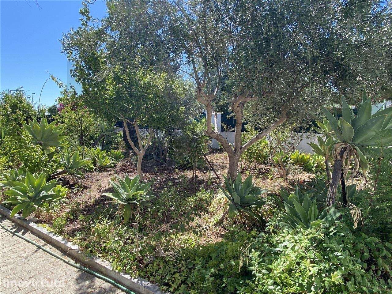 Uma Propriedade Inigualável em Alvor: Moradia T3 + 3 Apartamentos Inde - Grande imagem: 3/55