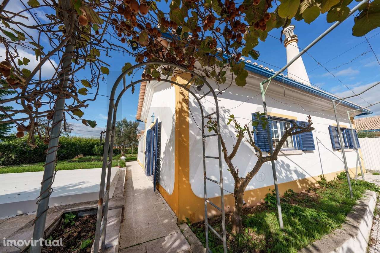 Moradia T2 isolada com piscina e jardim|  Fátima - Grande imagem: 5/28