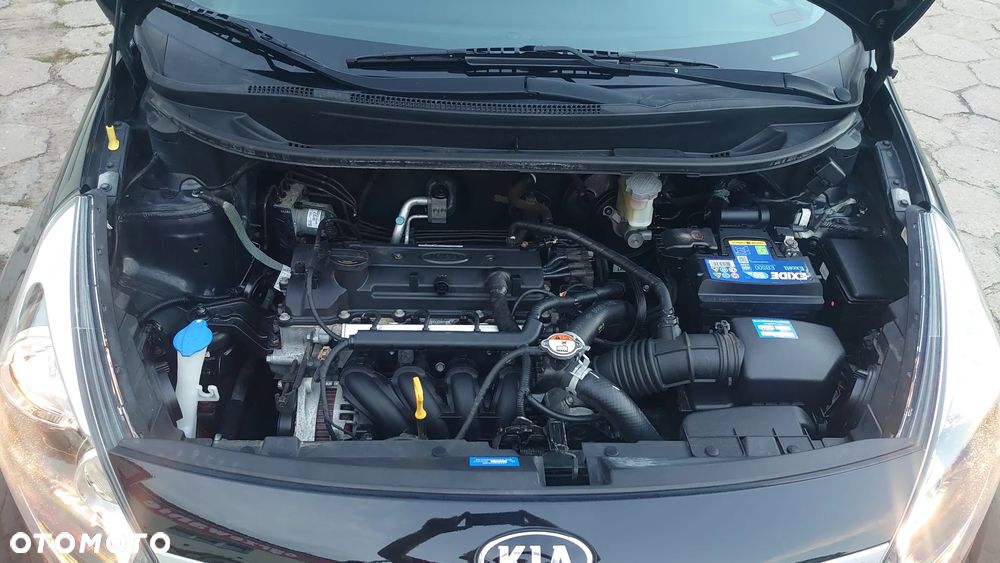Kia Rio 1.2 Dream Team Edition - 5