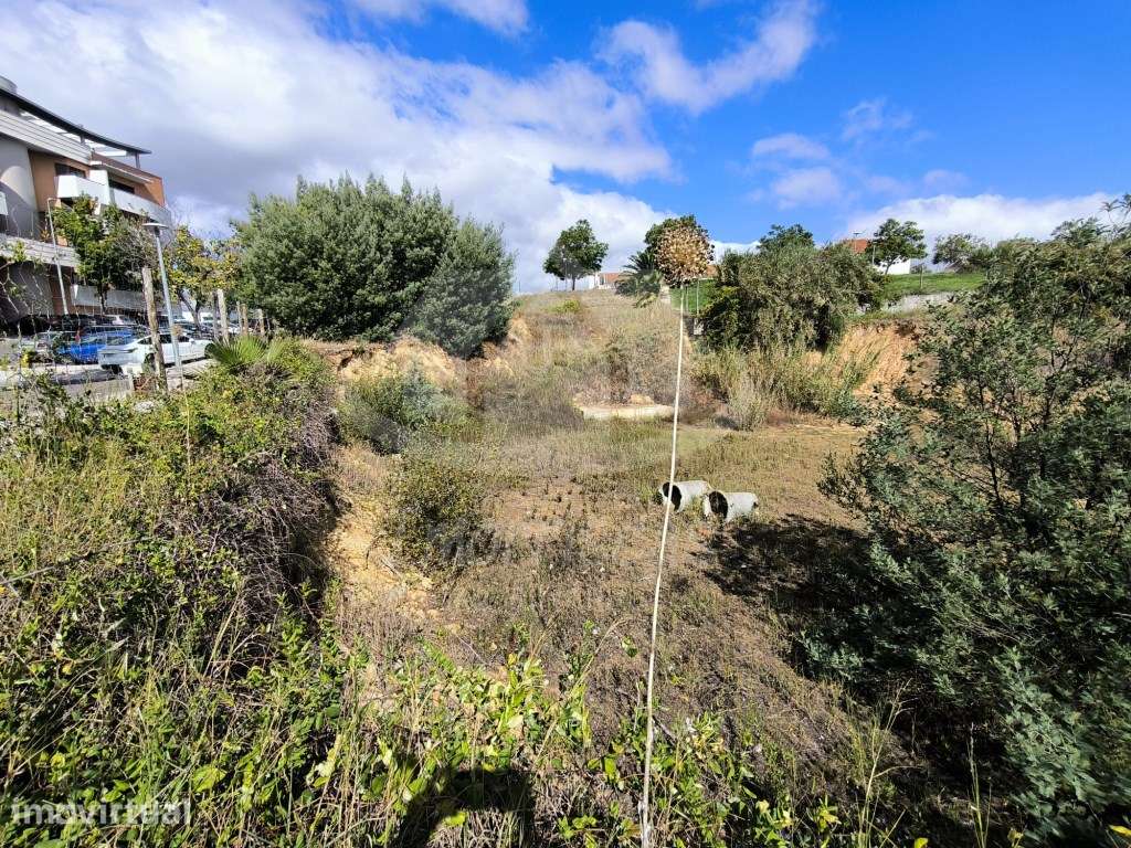 2 Lotes de terreno com projeto aprovado em Santarém. - Grande imagem: 3/20