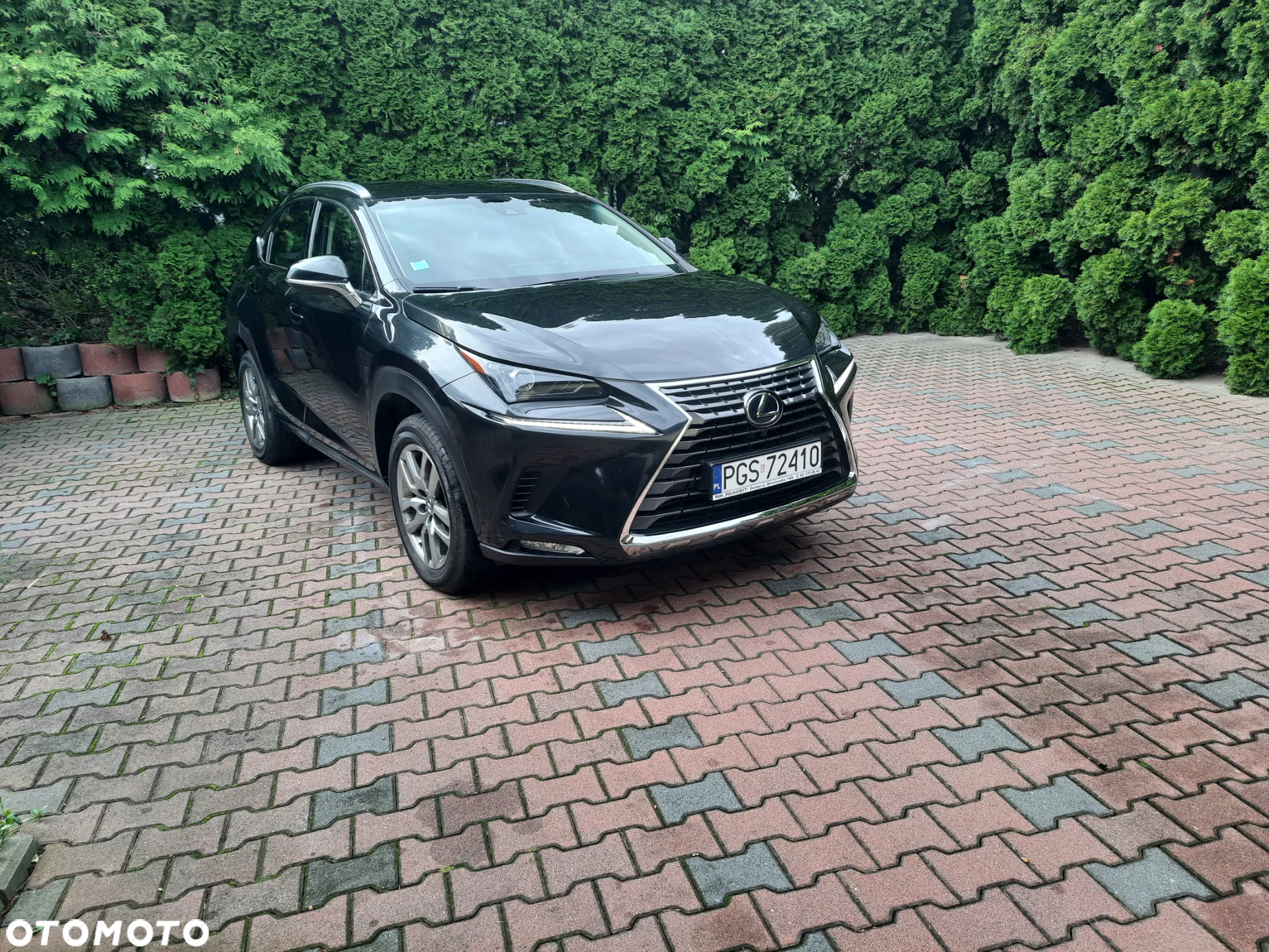 Lexus NX - 7
