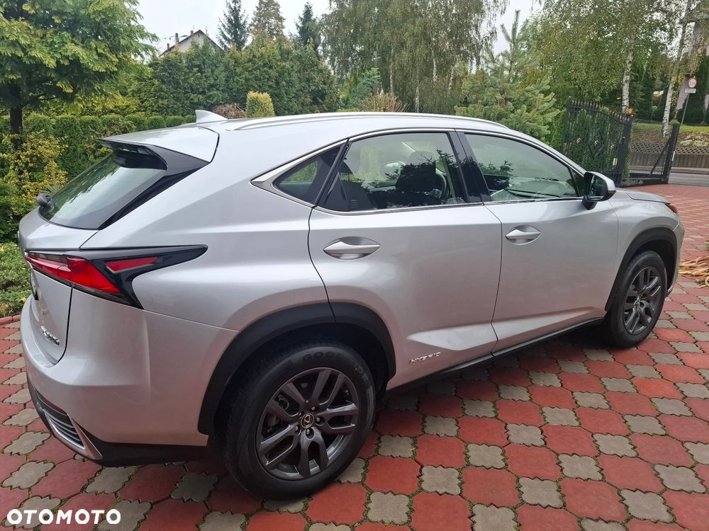 Lexus NX - 5