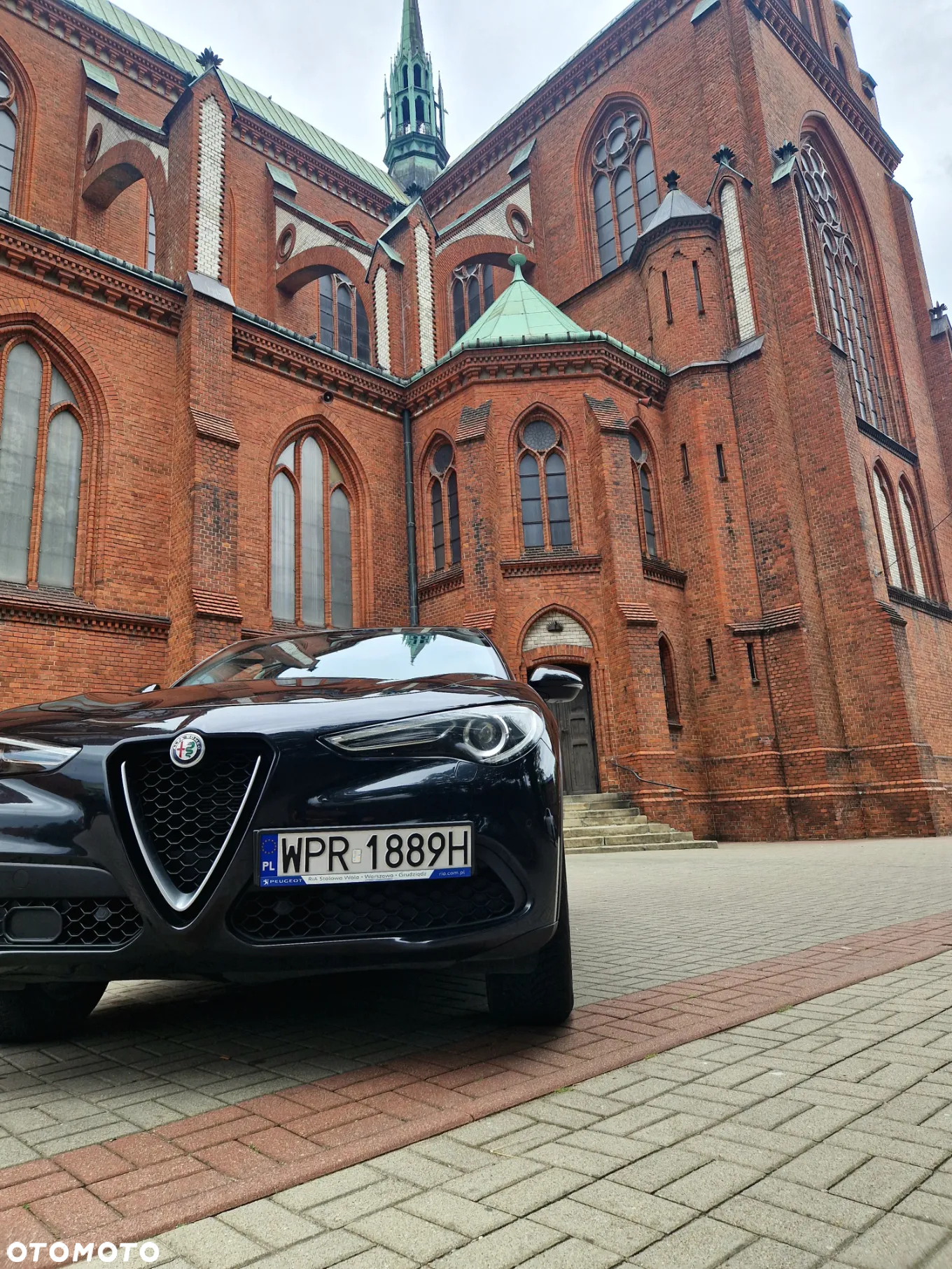 Alfa Romeo Stelvio 2.0 Turbo Q4 - 6