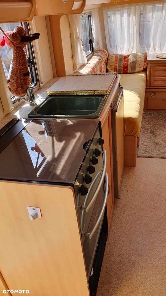 Coachman Amara - 7