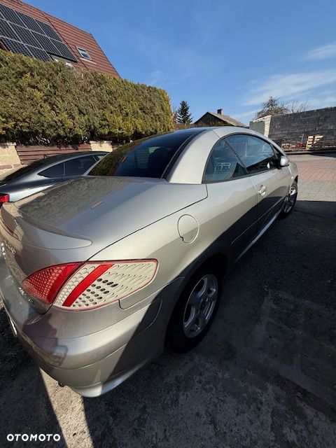 Peugeot 307 1.6 Trendy - 18