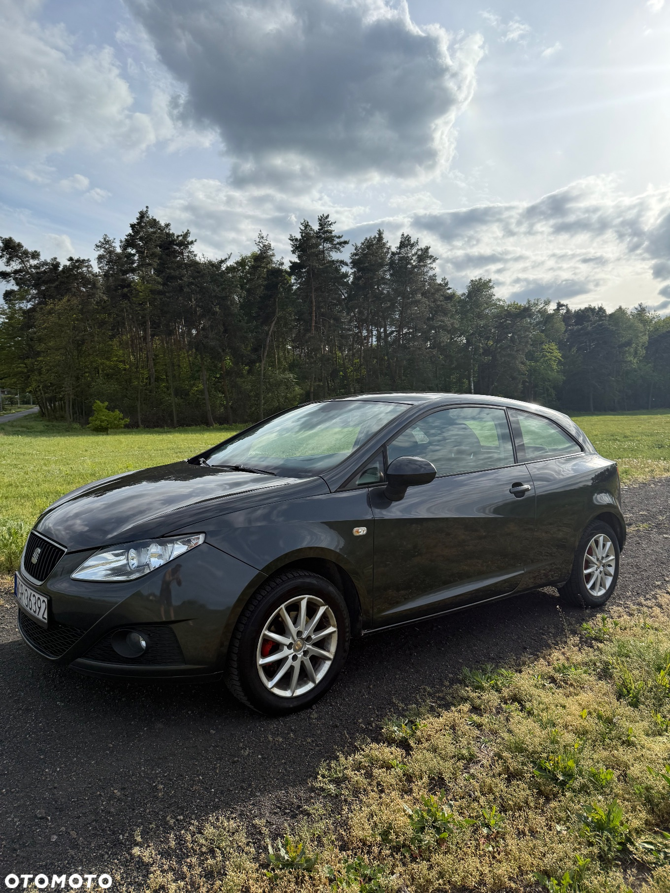 Seat Ibiza - 8