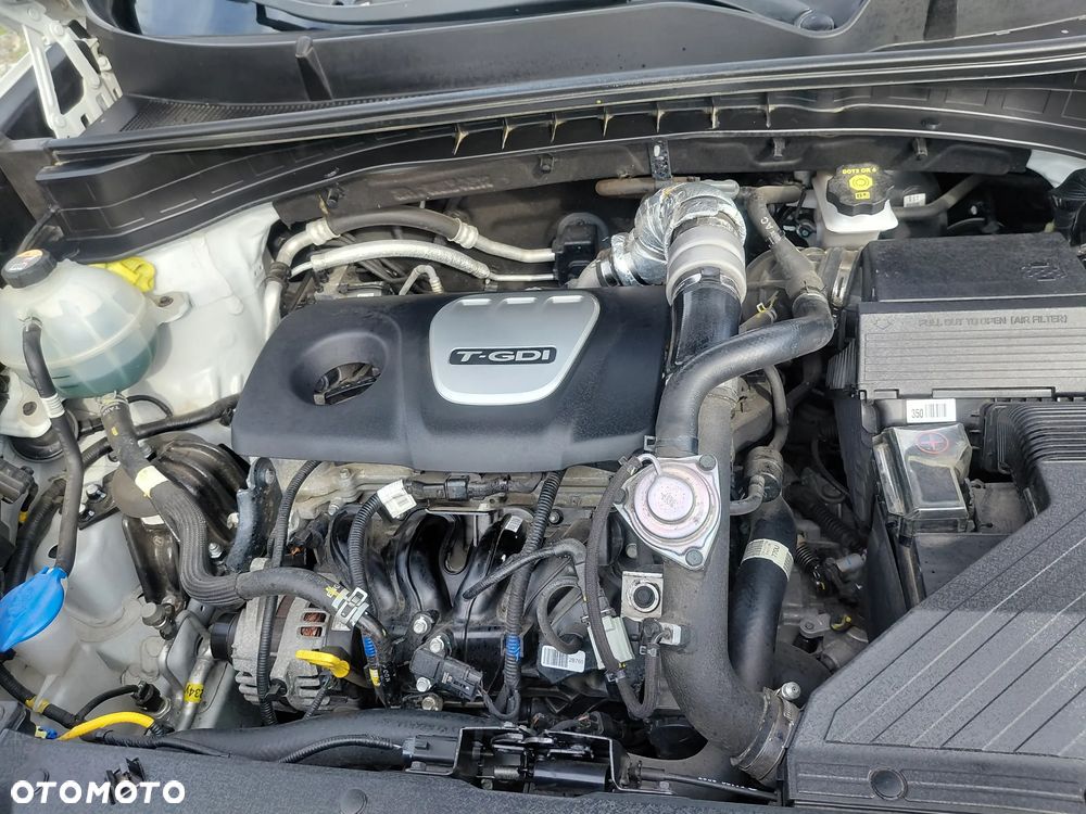 Kia Sportage - 24