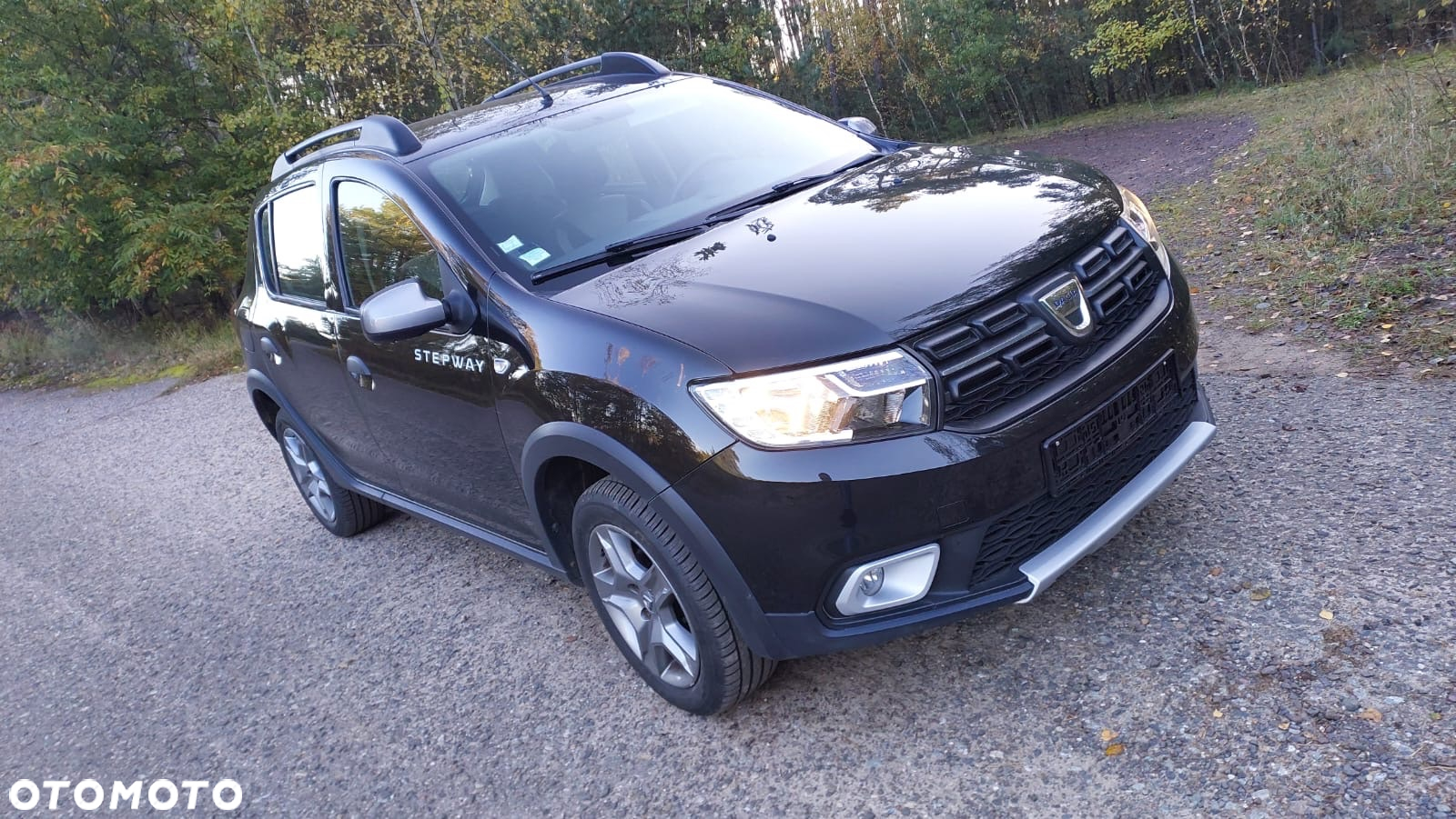 Dacia Sandero Stepway TCe 90 Prestige - 6