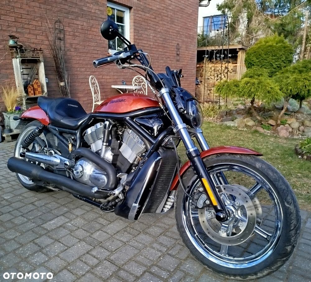 Harley-Davidson Softail V-Rod - 2