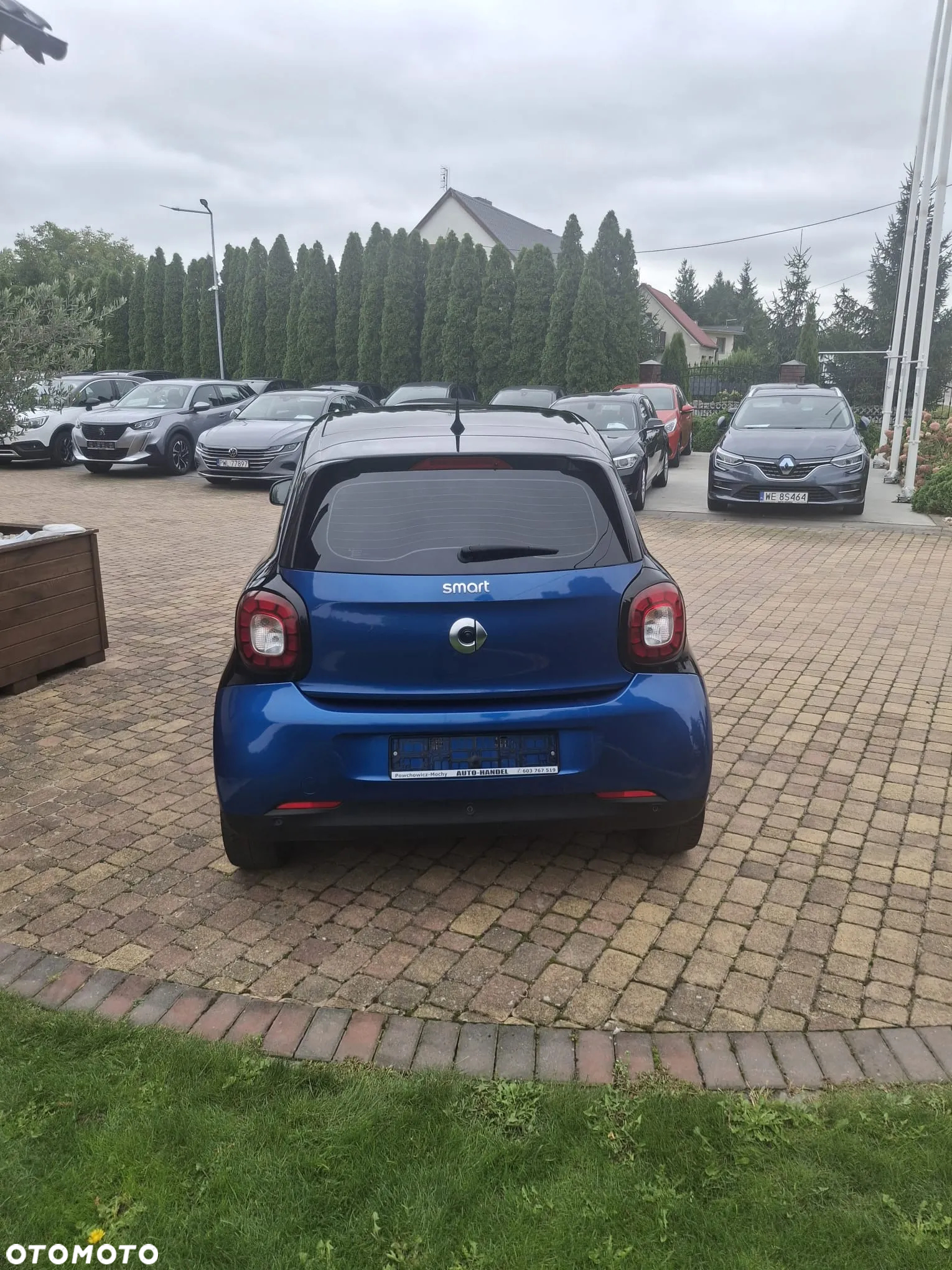 Smart Forfour prime - 7