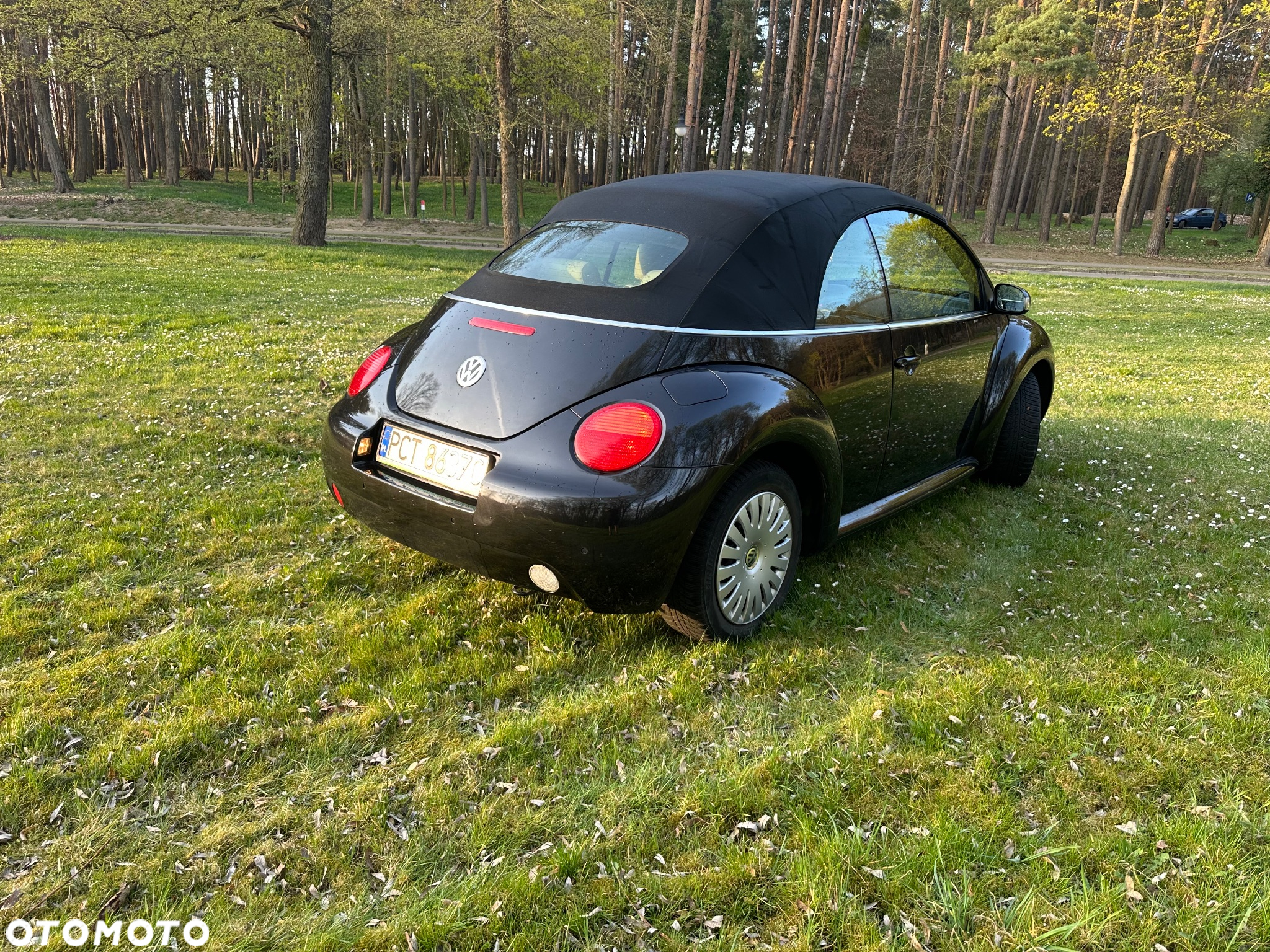 Volkswagen New Beetle 2.0 - 6