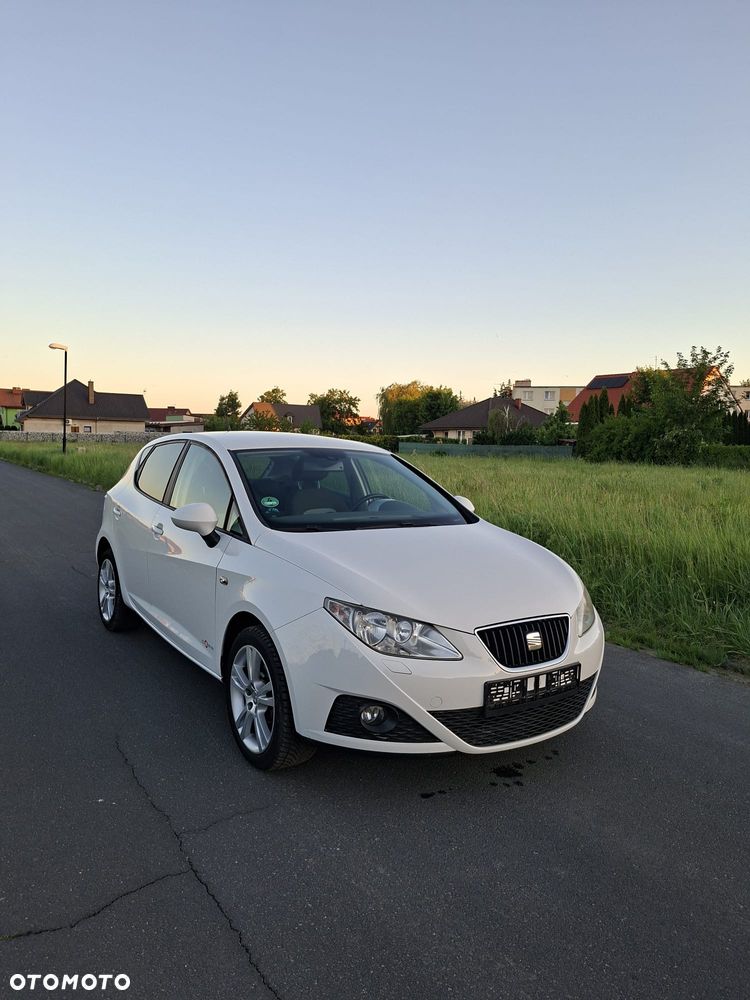 Seat Ibiza - 30