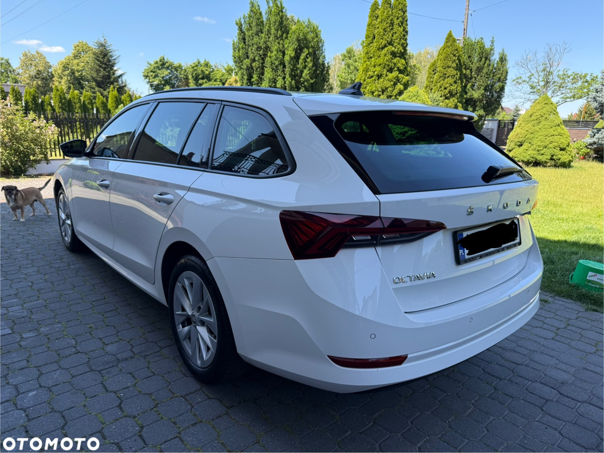 Skoda Octavia 1.0 TSI Ambition - 5