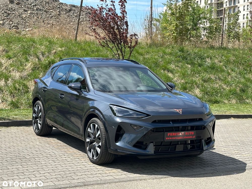 Cupra Formentor 2.0 TSI 4Drive DSG VZ - 2