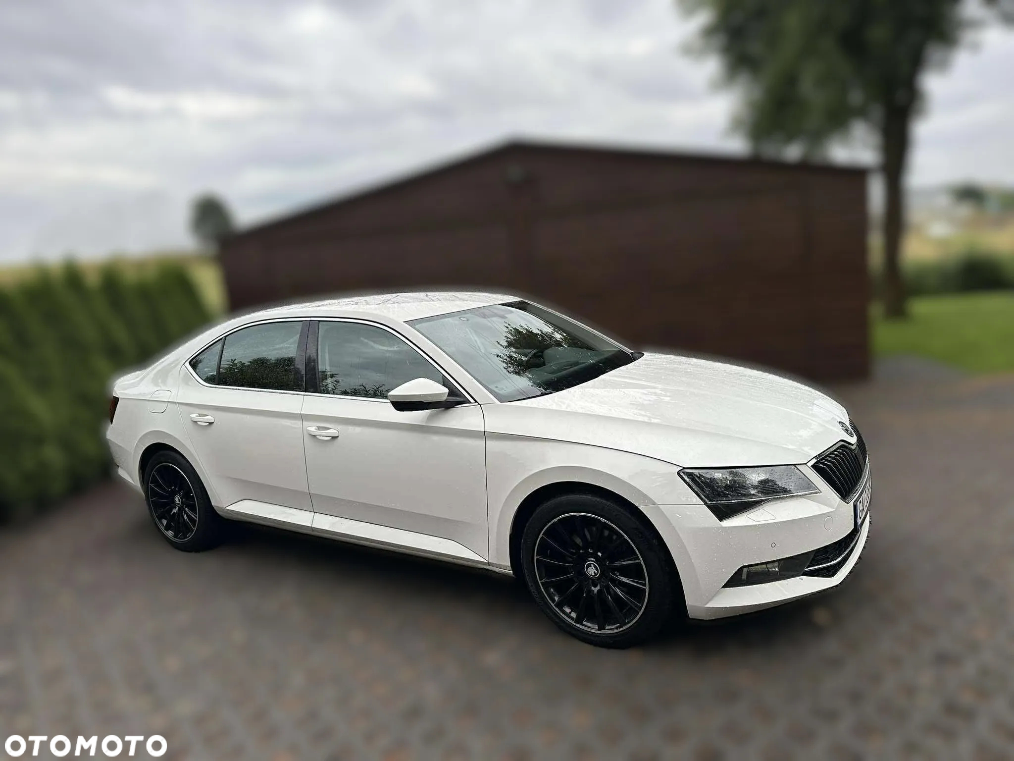Skoda Superb 2.0 TDI Active DSG - 2
