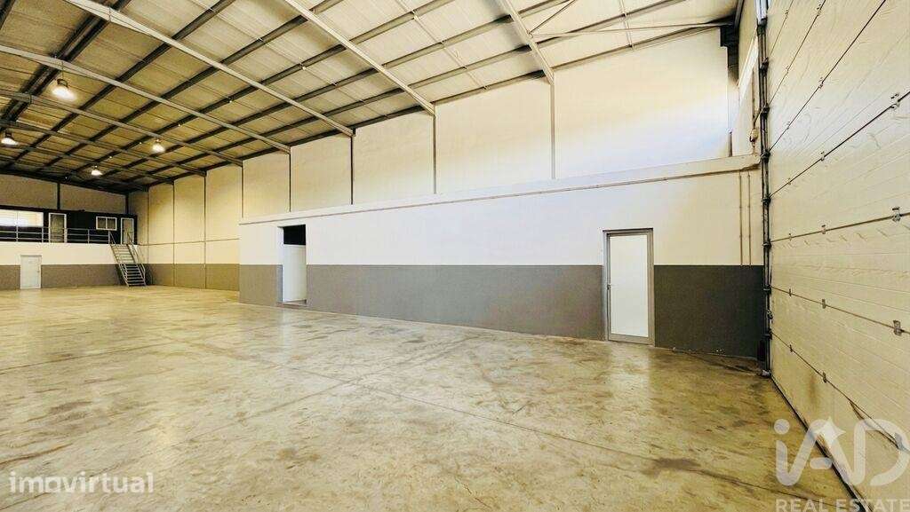 Hangar em Gâmbia-Pontes-Alto da Guerra de 763,00 m2 - Grande imagem: 4/18
