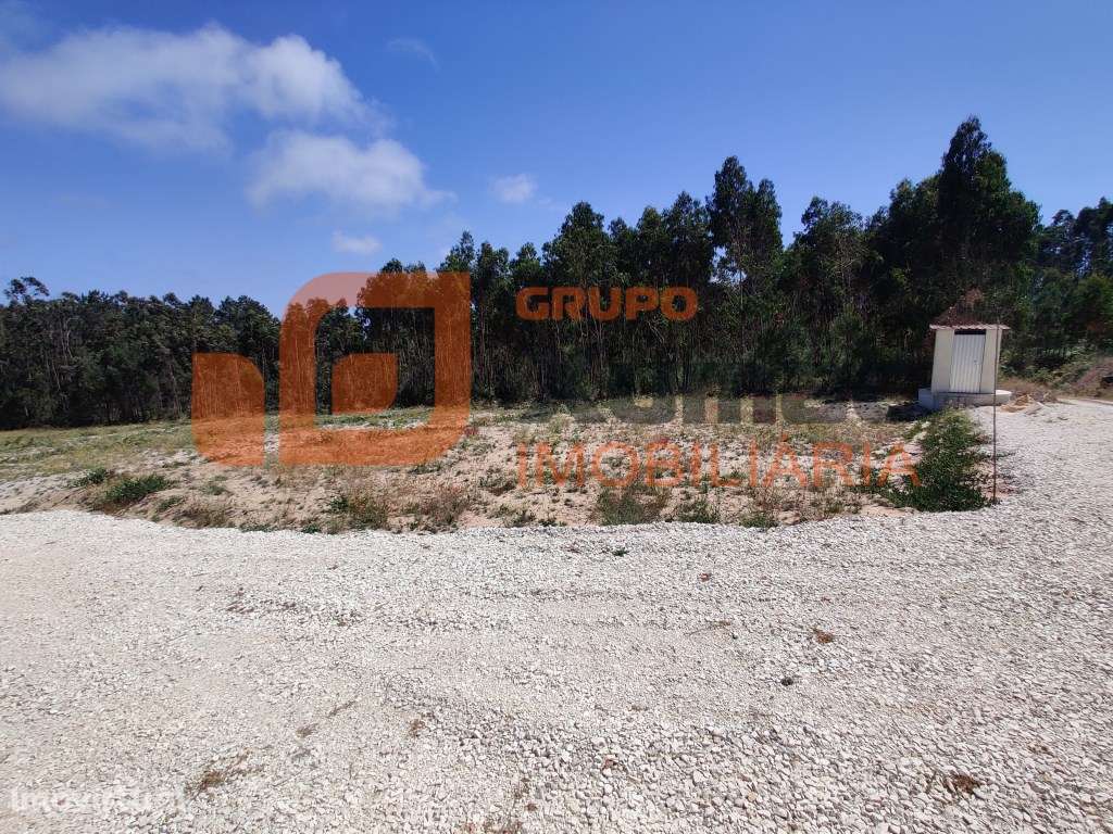 Terreno rústico para uso agrícola ou similar, ideal também para cas... - Grande imagem: 3/7