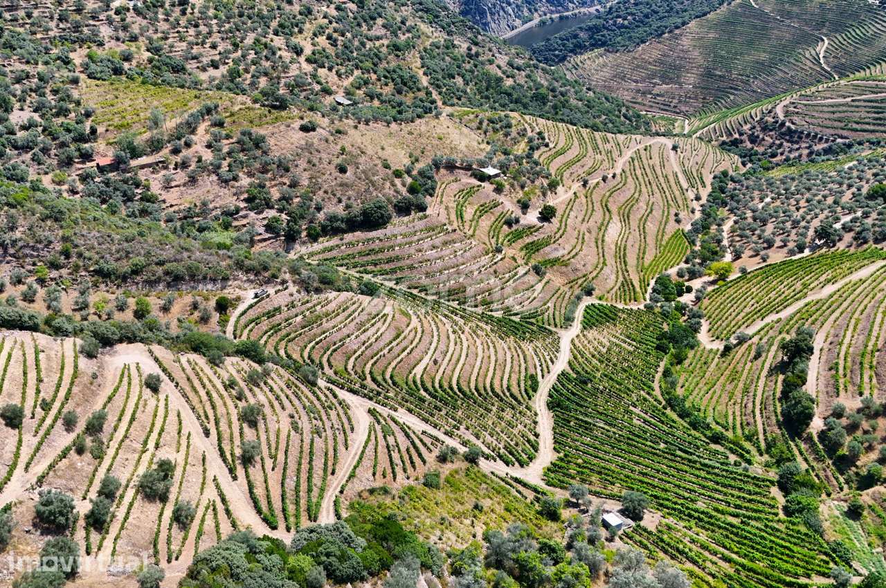 Terreno no Douro com 18.278 m² - Grande imagem: 5/20