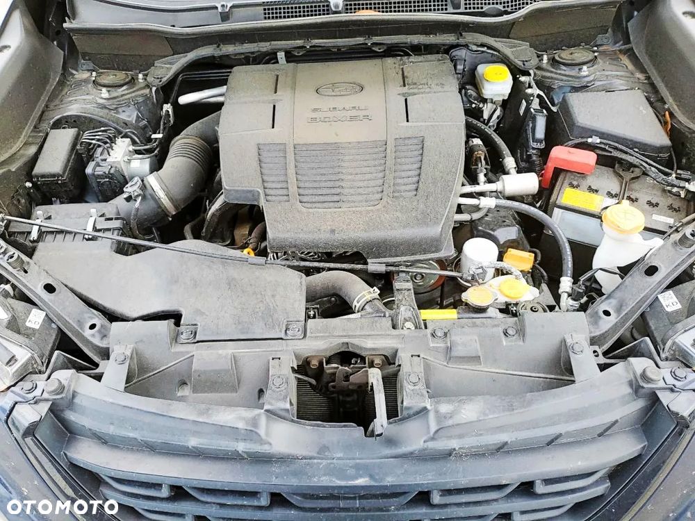 Subaru Forester - 12