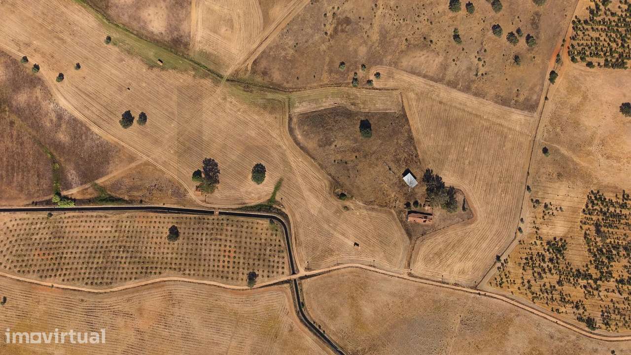 Herdade de 22 Hectares - Grande imagem: 3/43