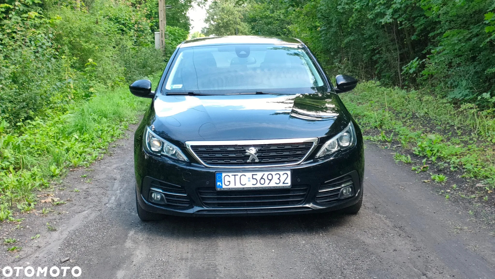 Peugeot 308 1.5 BlueHDi Active S&S - 2