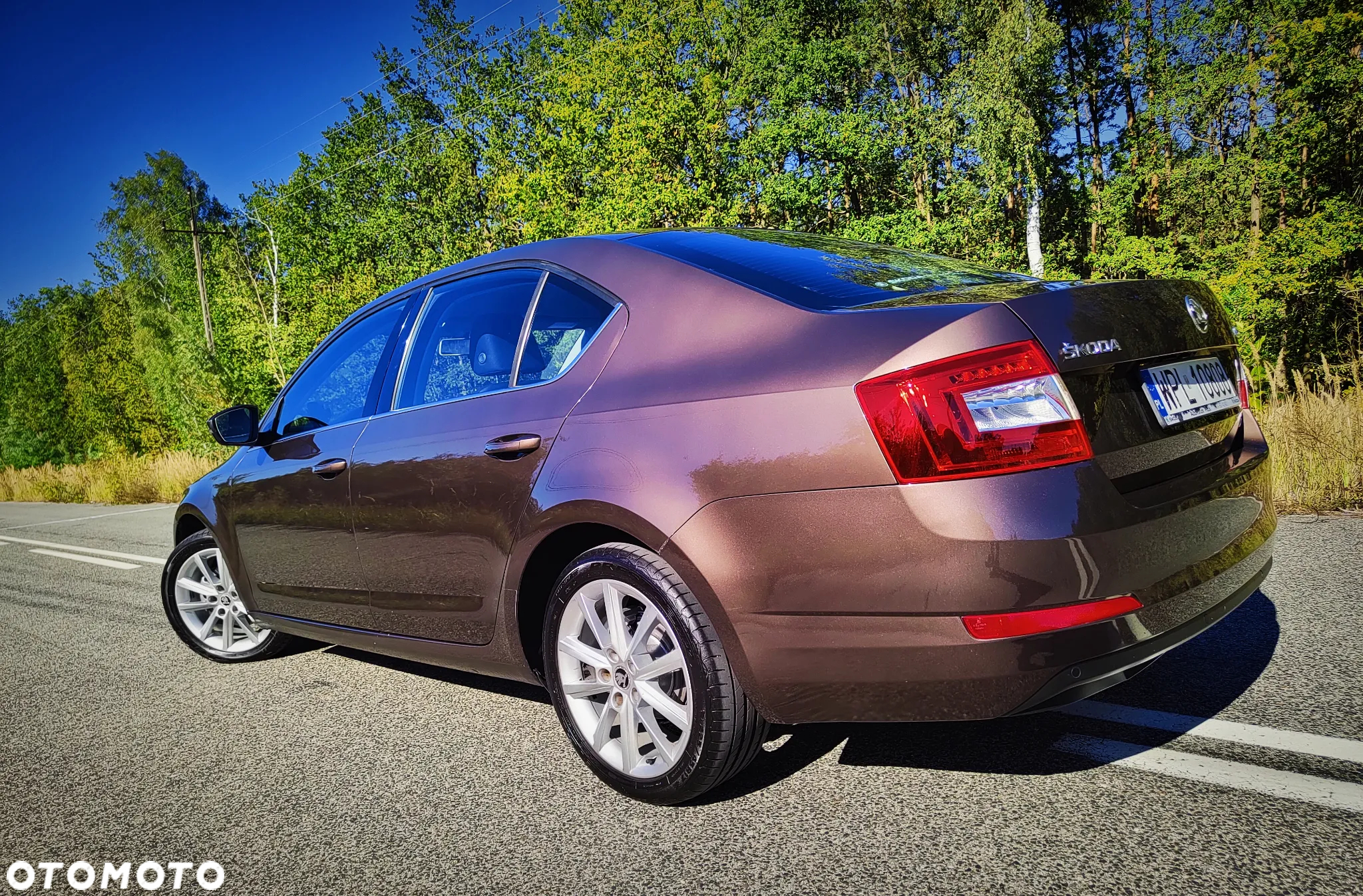 Skoda Octavia 1.4 TSI Elegance - 13