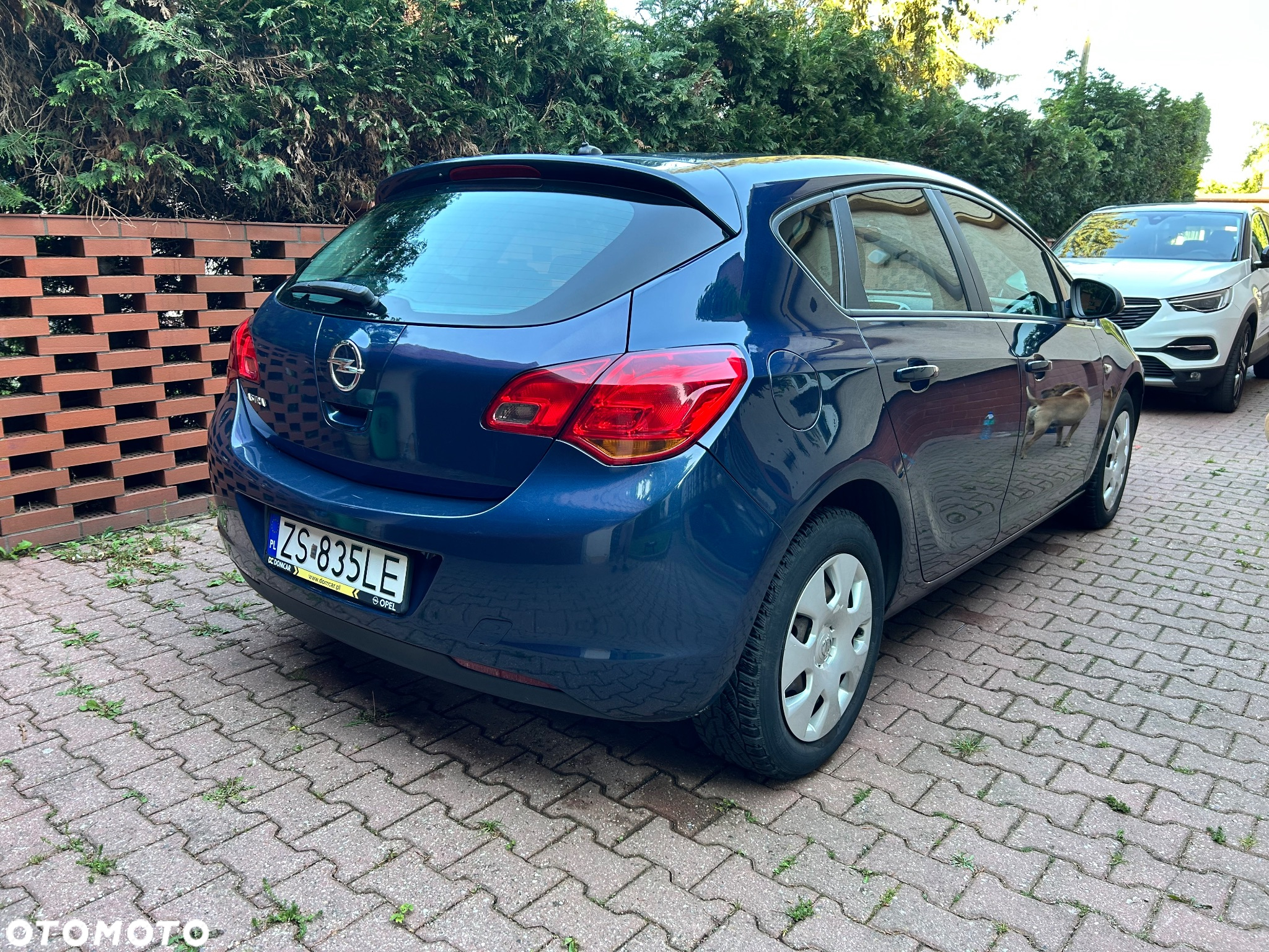 Opel Astra III 1.6 - 5