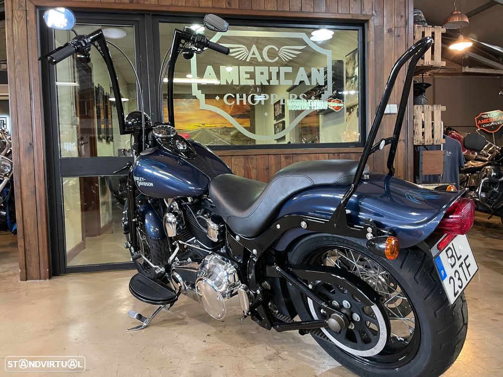 Harley-Davidson FLSTS Crossbones - 11