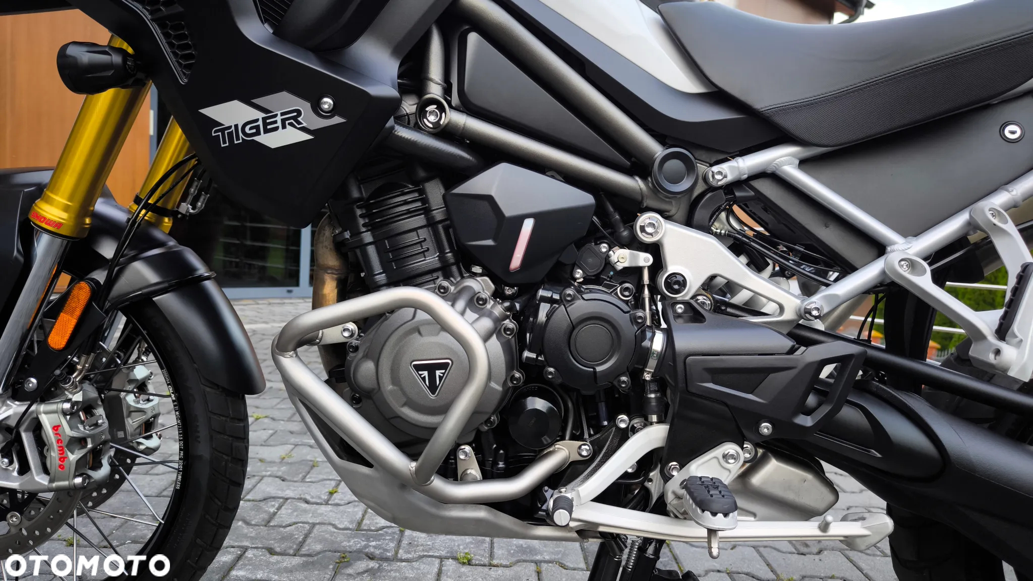 Triumph Tiger - 26