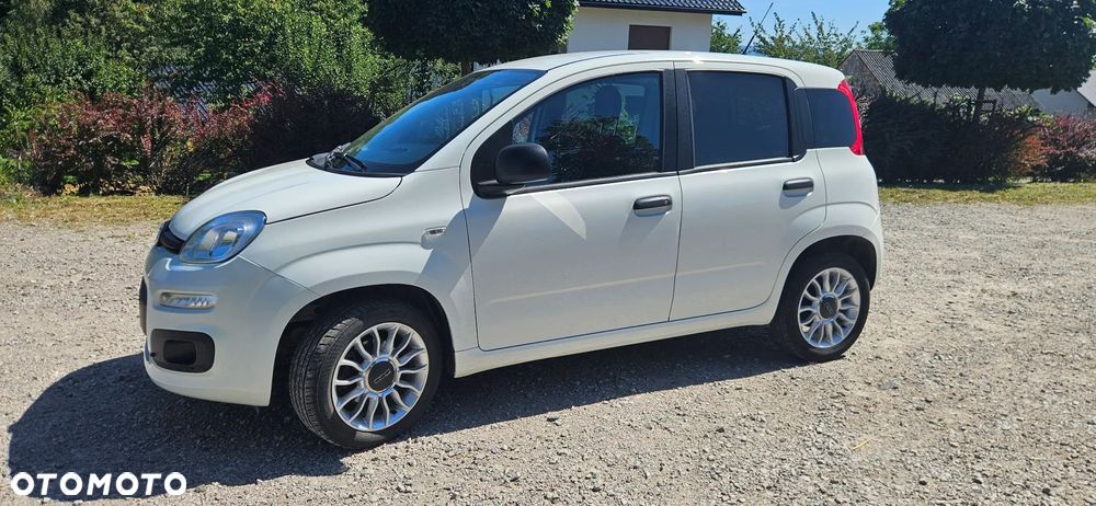 Fiat Panda - 2