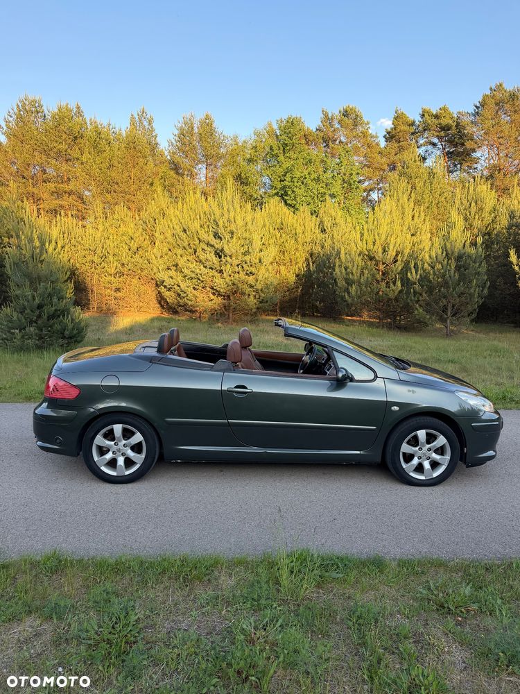 Peugeot 307 CC 2.0 Intense - 7