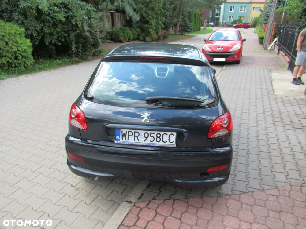 Peugeot 206 plus 60 - 10
