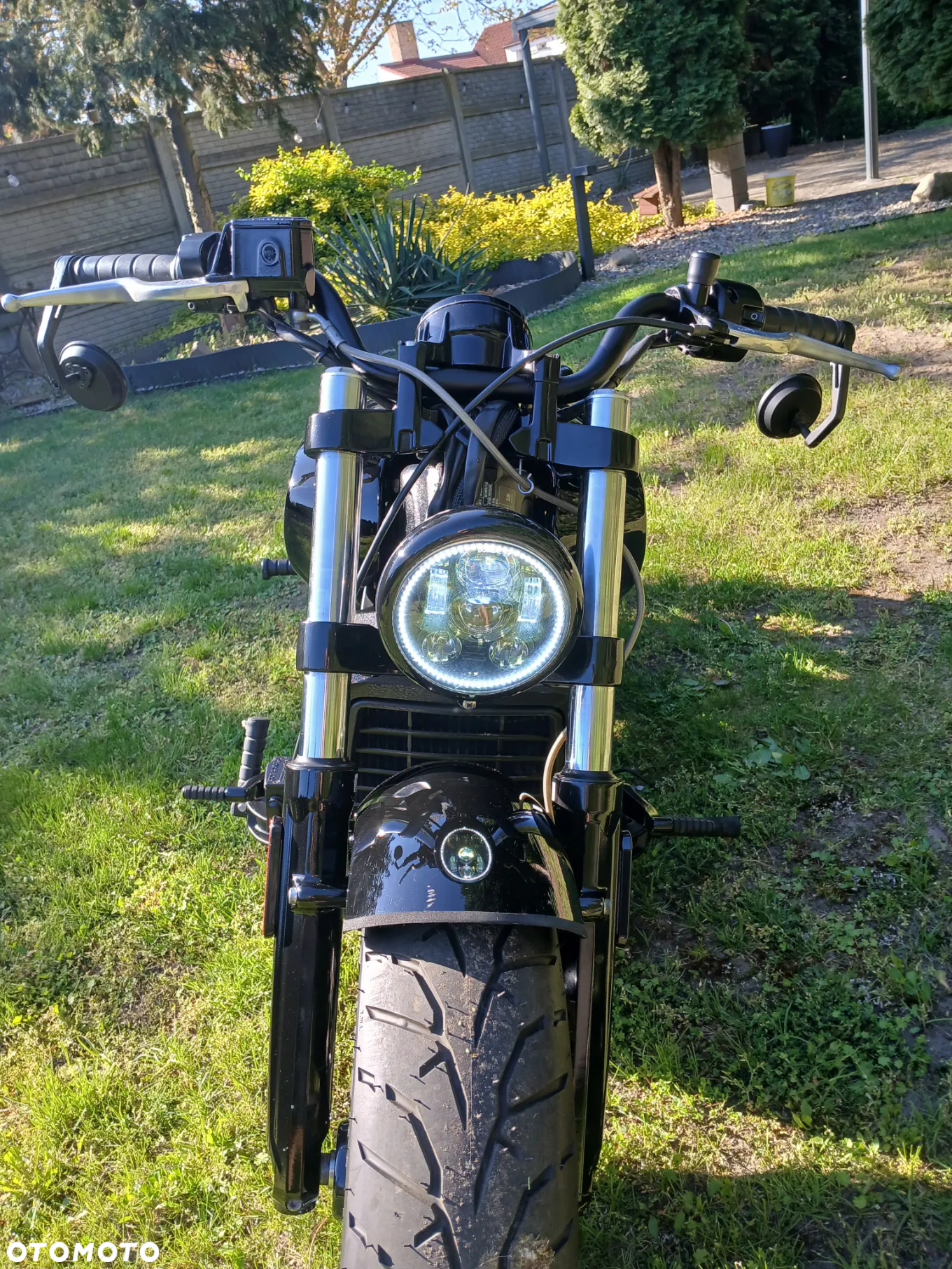 Indian Scout - 38