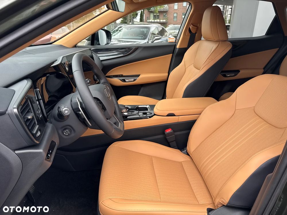 Lexus NX - 10