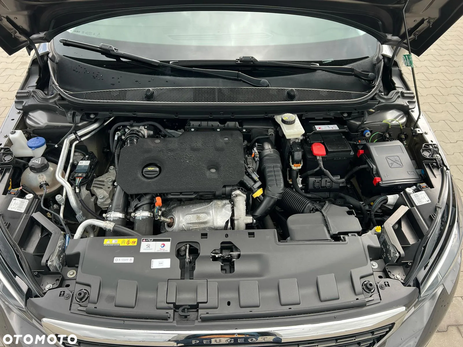 Peugeot 308 1.5 BlueHDi Active S&S EAT6 - 9