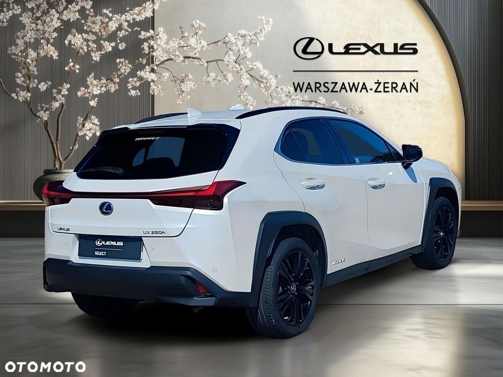 Lexus UX 250h GPF F Impression 2WD - 7