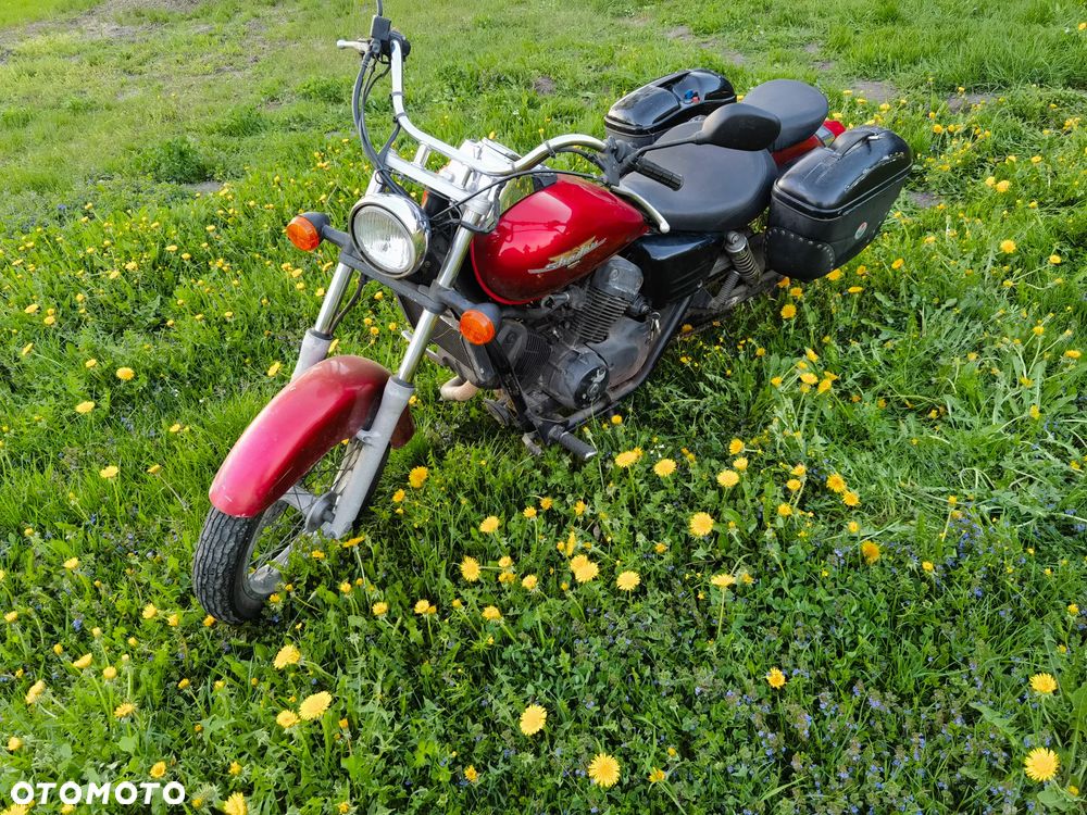 Honda Shadow - 1