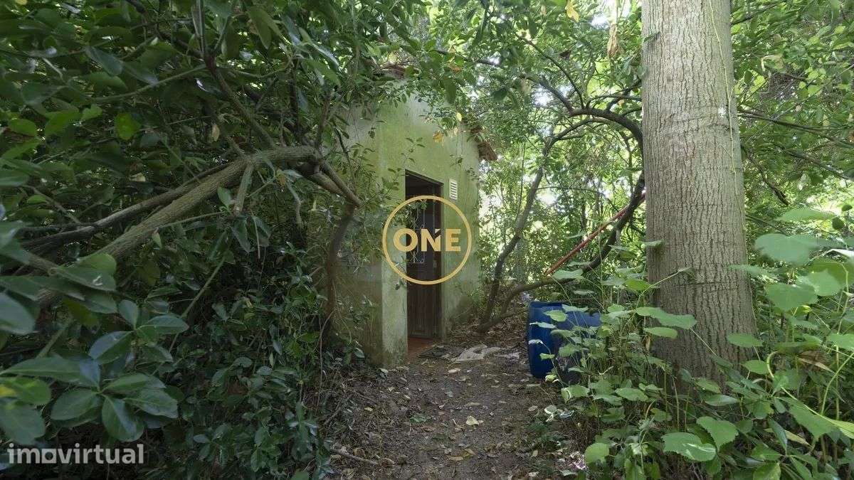 Quinta - Eira - Grande imagem: 3/49
