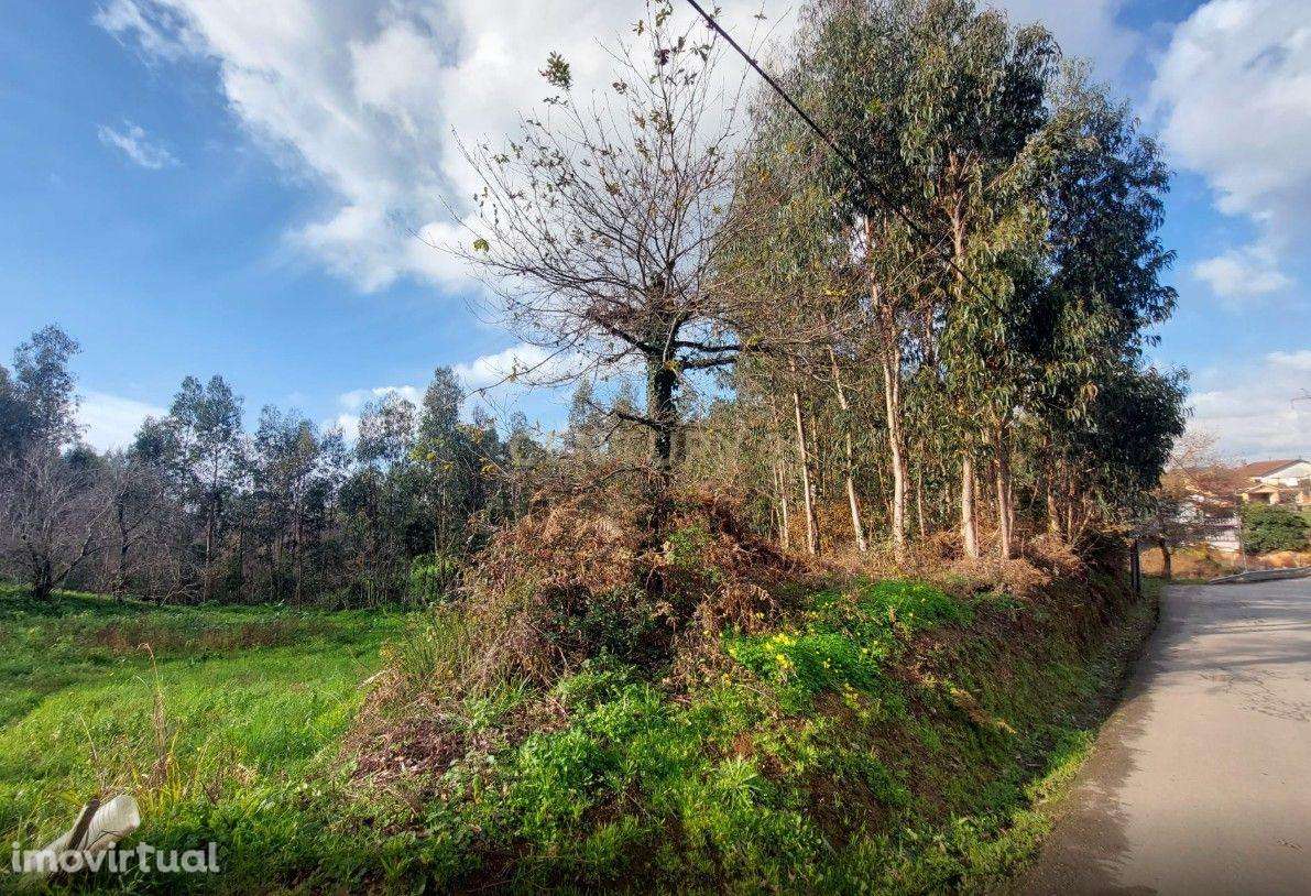 Terreno Urbanizável em Cristelo - Branca (Albergaria-a-Velha) - Grande imagem: 2/12