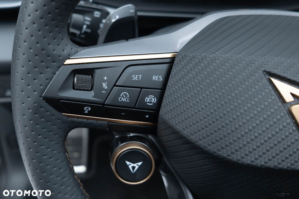 Cupra Terramar 2.0 TSI 4Drive DSG VZ - 18