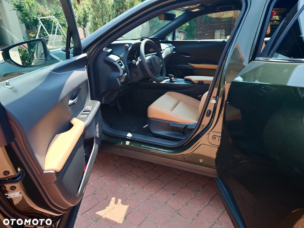 Lexus UX - 16
