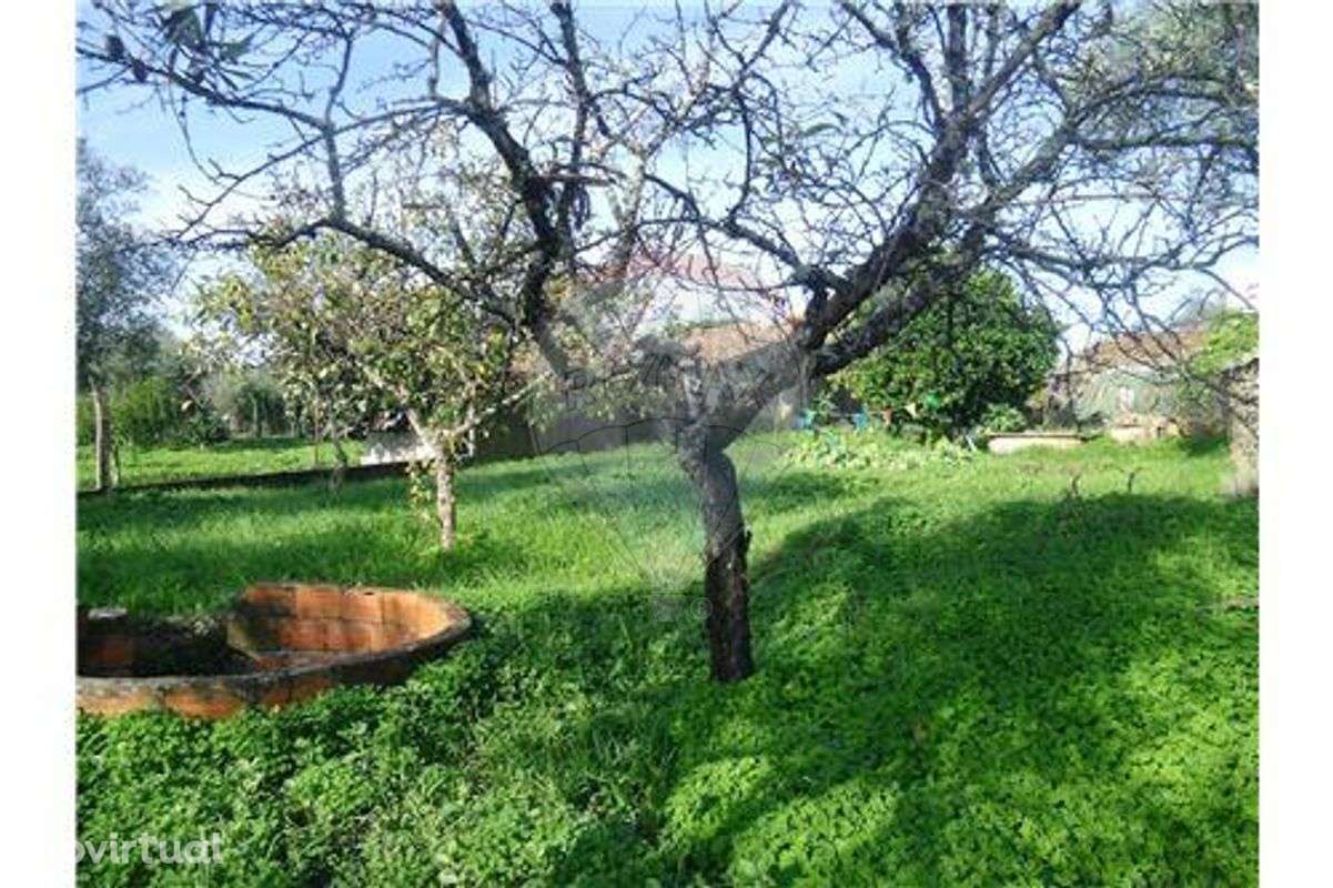 MORADIA P/ RECONSTRUÇÃO C/ QUINTAL (420m²) !! - Grande imagem: 2/40