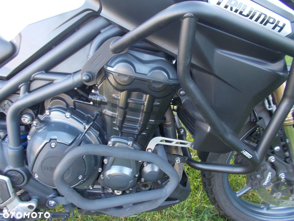 Triumph Tiger - 4