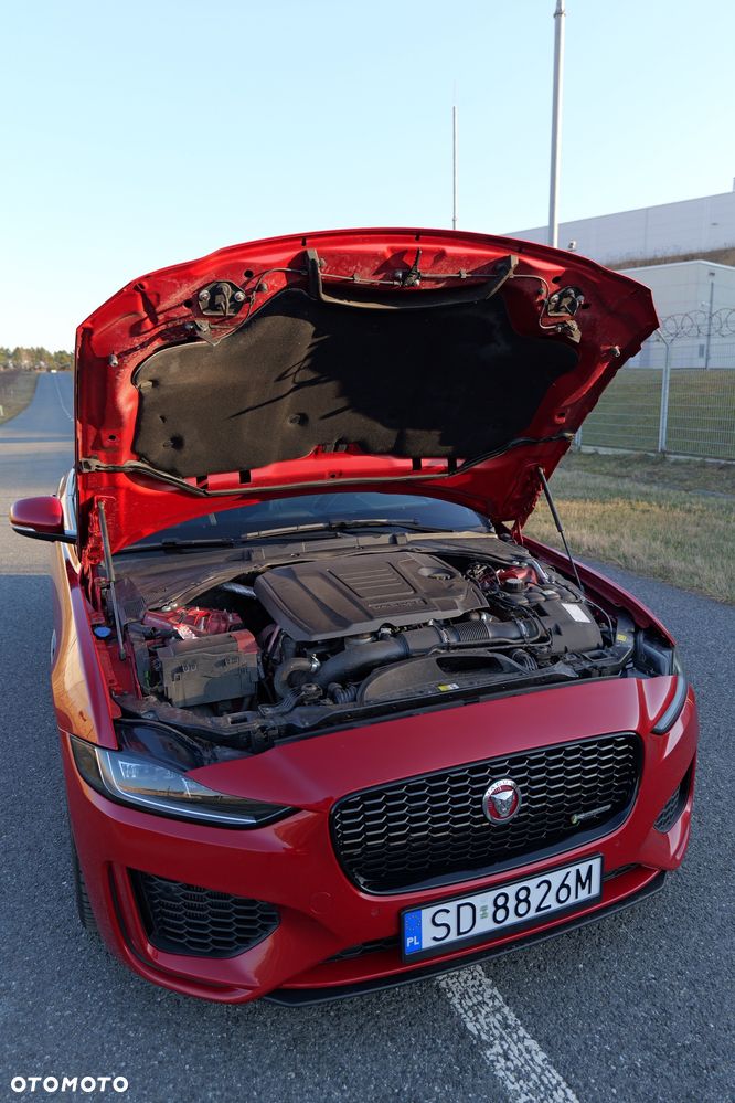Jaguar XE P250 R-Dynamic Black - 31