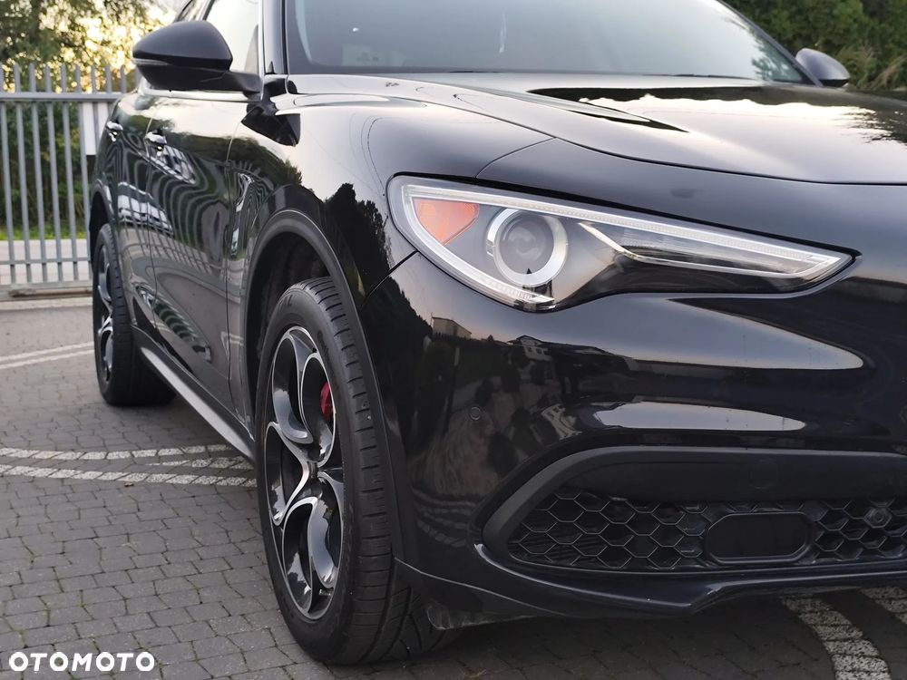 Alfa Romeo Stelvio 2.0 Turbo Tributo Italiano Q4 - 15